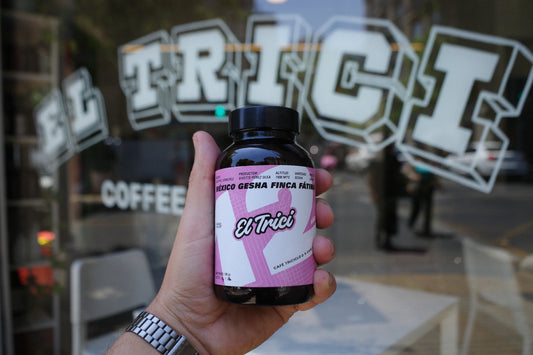 CAFE 3CICLOS : MEXICO GESHA FINCA FATIMA - EDICION ANIVERSARIO 12