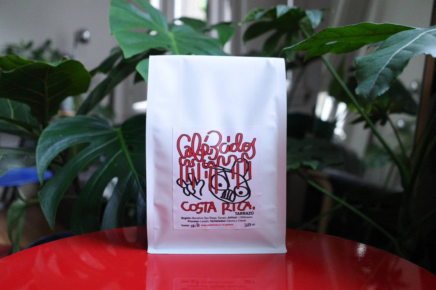 CAFE 3CICLOS : COSTA RICA TARRAZU x PEDRITOS