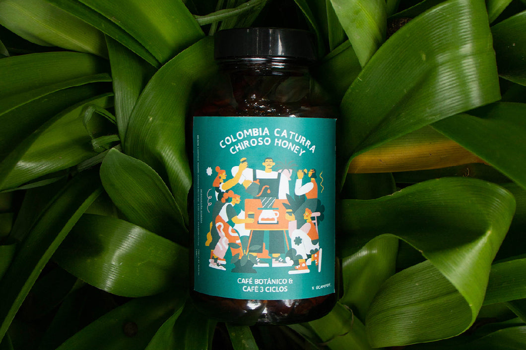 CAFE 3CICLOS : COLOMBIA CATURRA CHIROSO HONEY x @CAFEBOTANICO y @CAMIPEPE